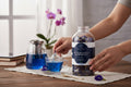 Blue Infusion — Butterfly Pea Flower Tea